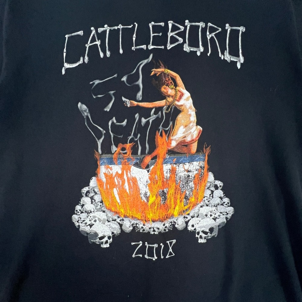 Cattleboro 2018 Medium Skulls Graphic Tshirt Grunge Flames Emo Y2k-Style - Picture 7 of 10